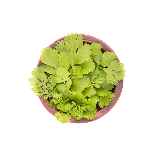Coriander powder