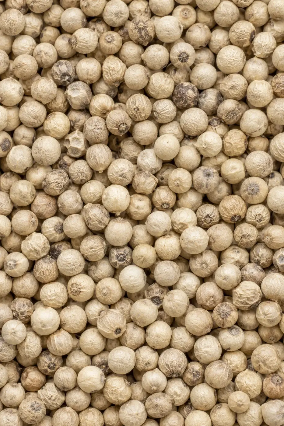 White pepper powder